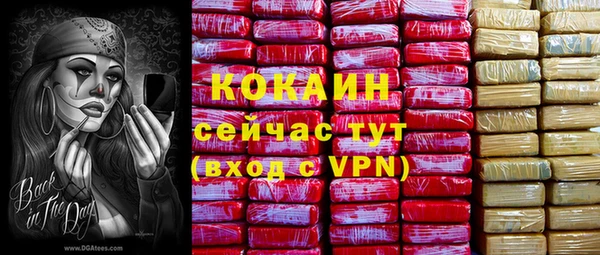 бошки Горняк