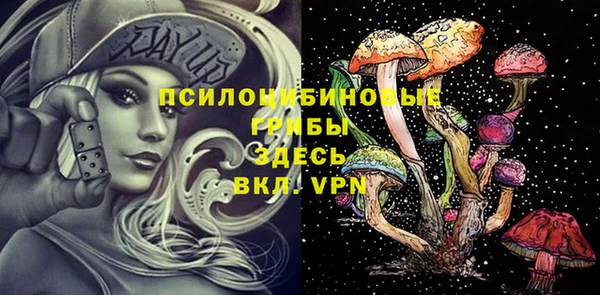 дживик Зуевка