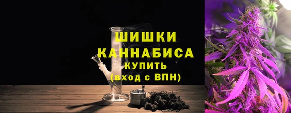 бошки Горняк